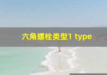 六角螺栓类型1 type